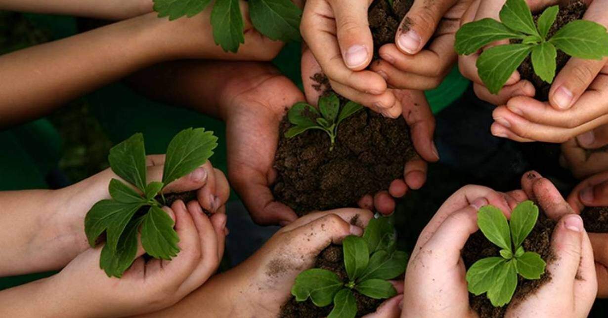 Curso De Gestao Do Meio Ambiente Sustentabilidade E Educacao Ambiental Com Certificado Valido Matricule Se Wr Educacional