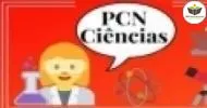 Cursos de Ensino de Ciências no Ensino Fundamental o PCN de Ciências Naturais