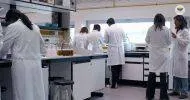 Cursos de Noções Básicas em Auxiliar de Laboratório de Bioquímica Clínica