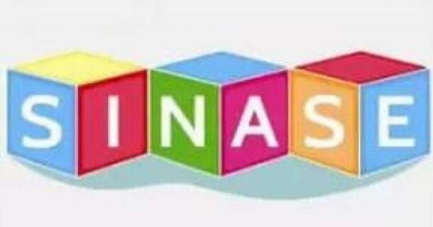 CURSO DE PRINCÍPIOS E DIRETRIZES DO SINASE