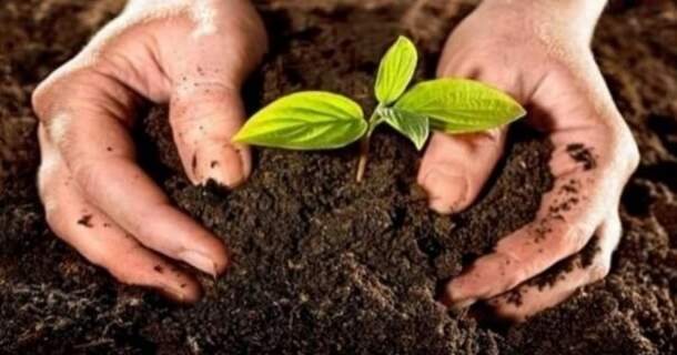 Curso de Compostagem Orgânica com Certificado Válido em todo Brasil