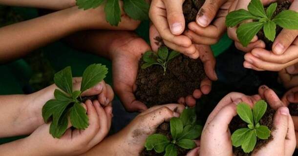 CURSO DE GESTÃO DO MEIO AMBIENTE: SUSTENTABILIDADE E EDUCAÇÃO AMBIENTAL