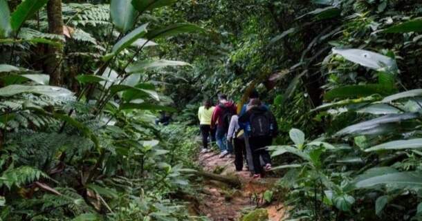 Curso de ecoturismo e seu impacto no meio ambiente